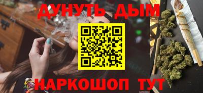 дмт Бийск