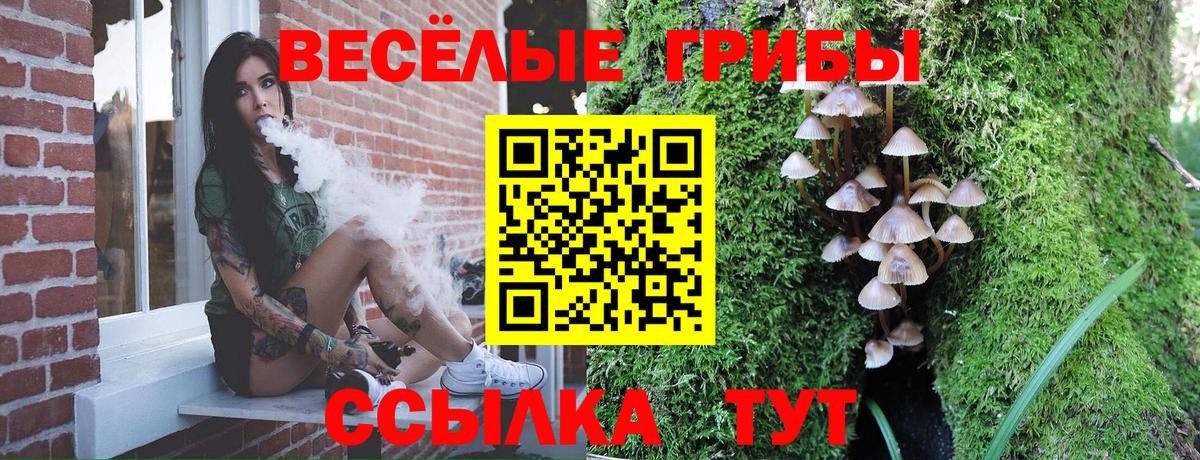 Галлюциногенные грибы Psilocybine cubensis  Вход с VPN  Зима 