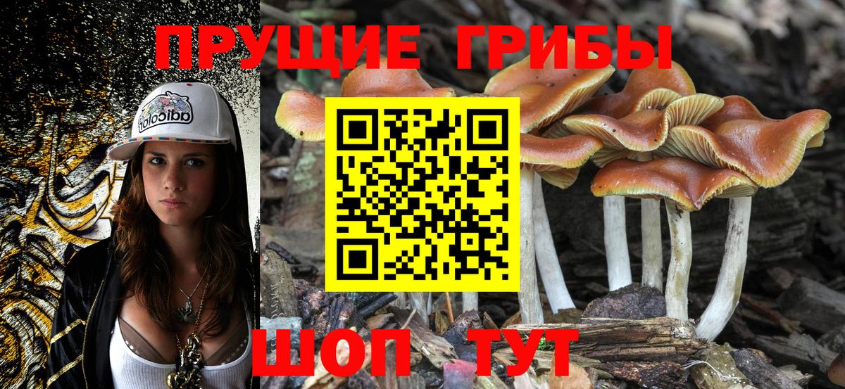 Галлюциногенные грибы мицелий Зима