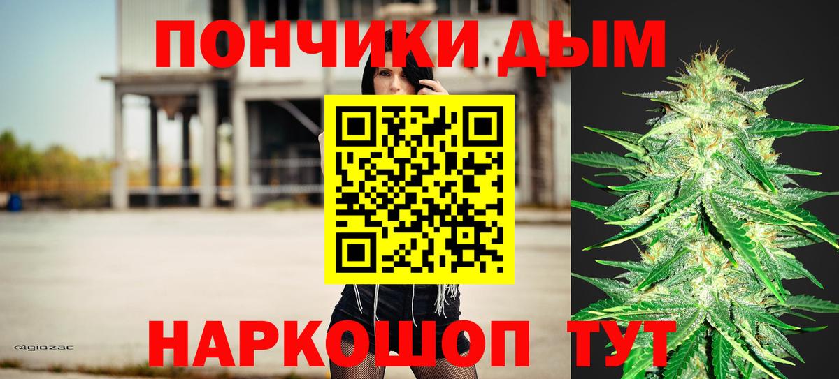 Конопля планчик Зима